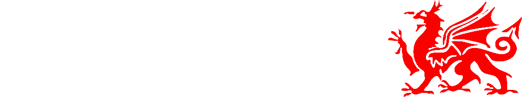 Dragon Laser Ltd